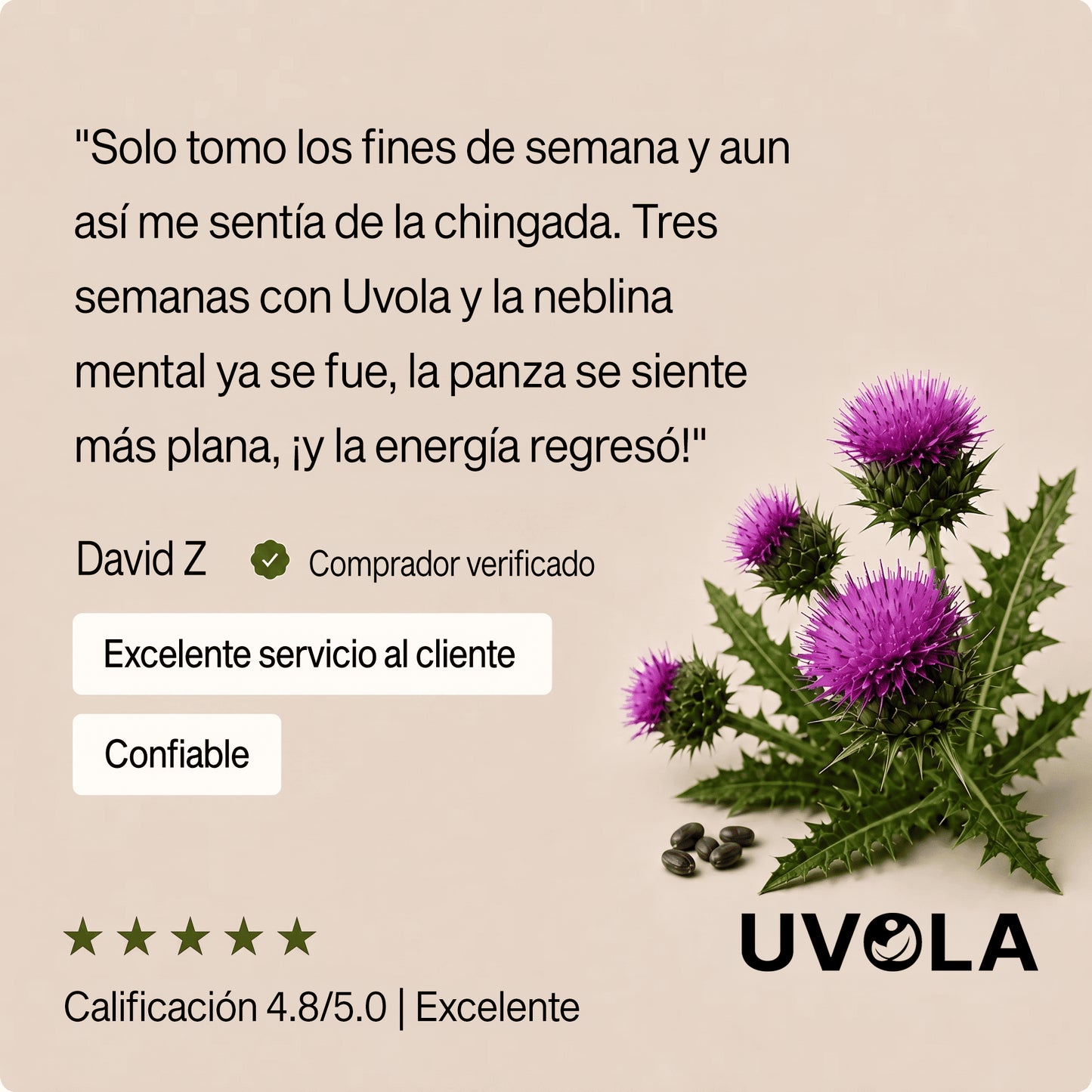 Uvola - Milk Thistle Liver Support
